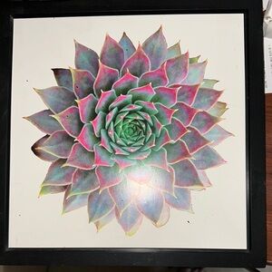 Framed Succulent Wall Art